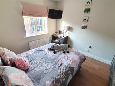 Picture 21